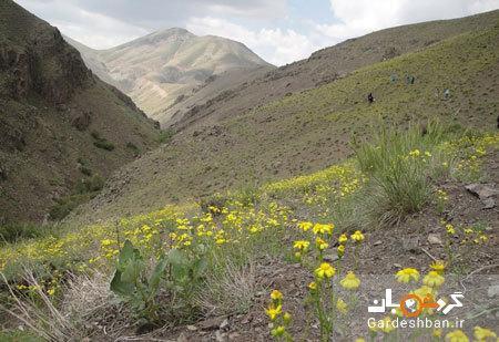 آبشار جنگلک؛ طبیعتی بکر در اطراف تهران