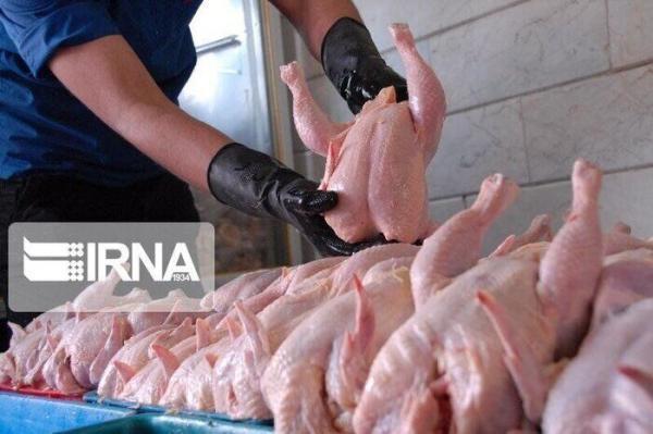 خبرنگاران کشف یک هزار و 600 کیلوگرم مرغ احتکار شده در مسجدسلیمان