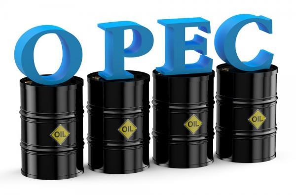 قیمت سبد نفتی اوپک از 69 دلار گذشت