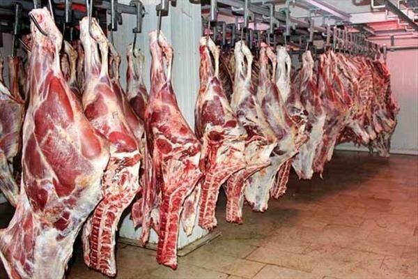عرضه انواع گوشت قرمز با قیمت مناسب در روزهای پایانی سال