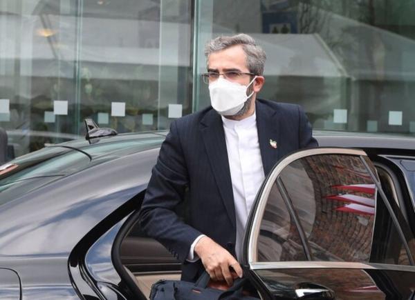 هیئت مذاکره کننده ایرانی وارد وین شد؛ شروع مصاحبه ها از امروز