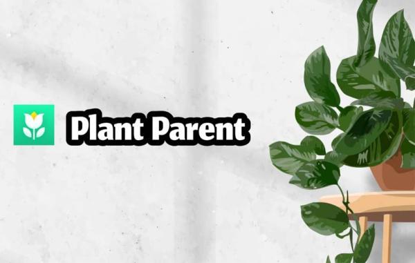 معرفی اپلیکیشن Plant Parent؛ آموزش نگه داری از گیاهان خانگی